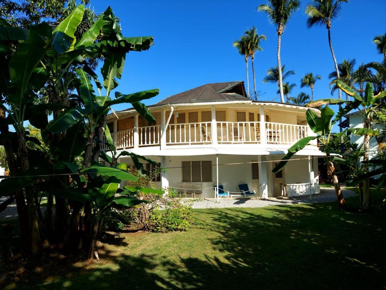 Hotel Casa Robinson Las Terrenas Dış mekan fotoğraf