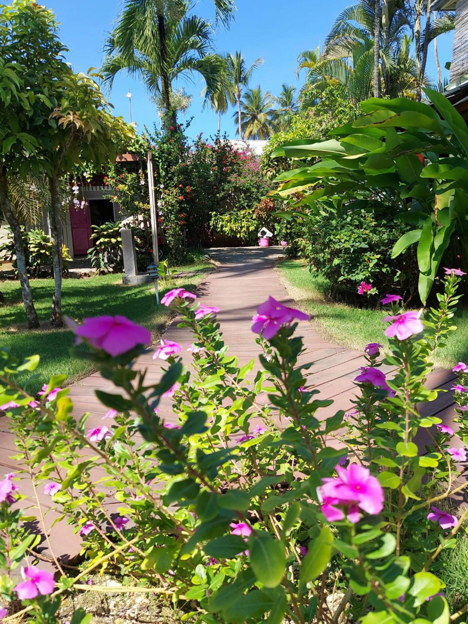 Hotel Casa Robinson Las Terrenas Dış mekan fotoğraf