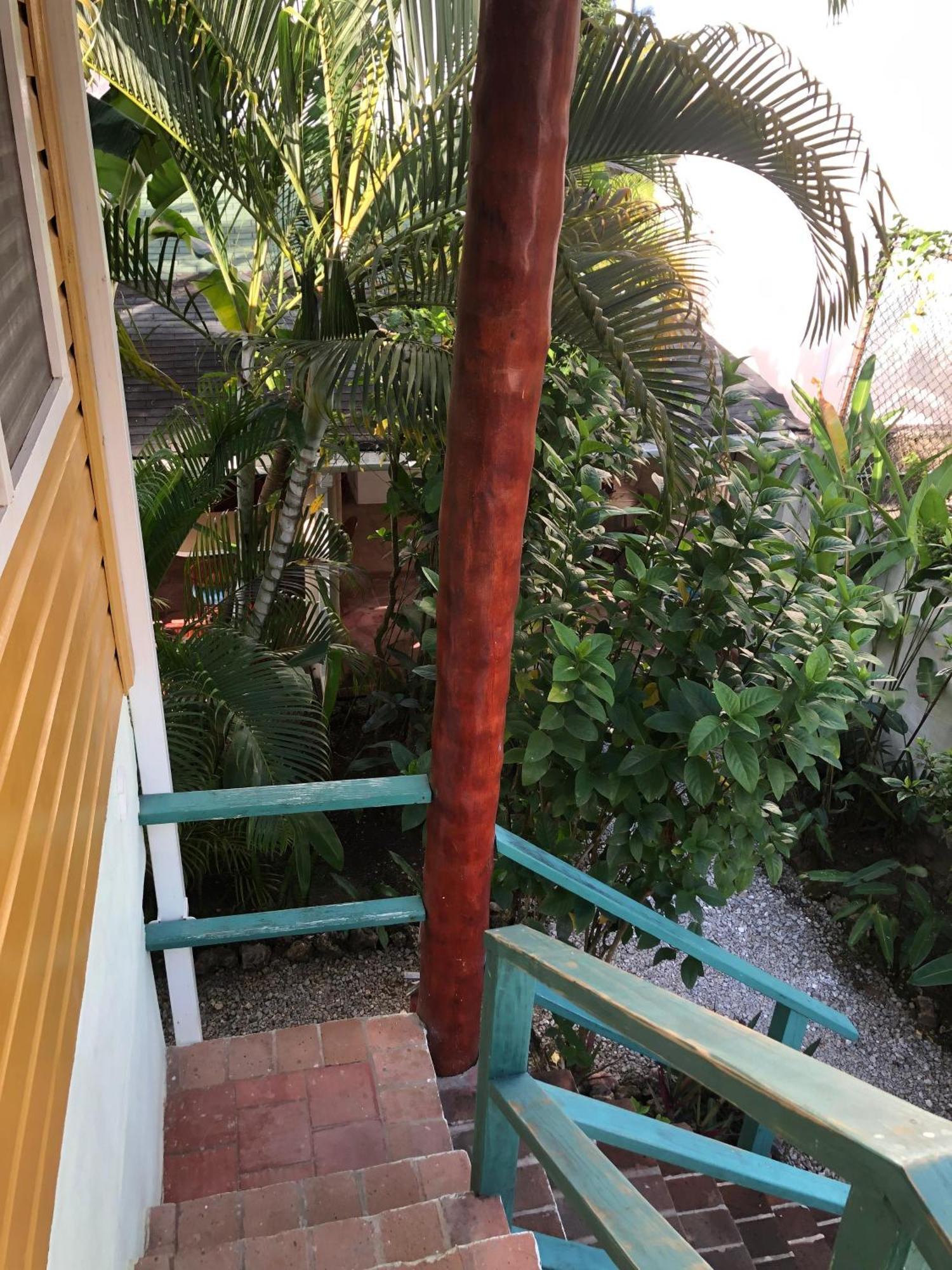 Hotel Casa Robinson Las Terrenas Dış mekan fotoğraf