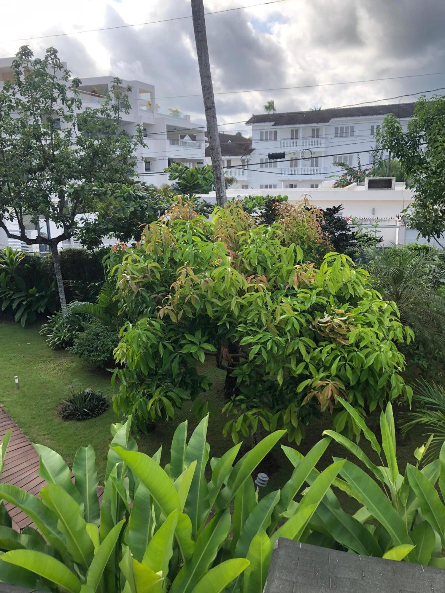 Hotel Casa Robinson Las Terrenas Dış mekan fotoğraf