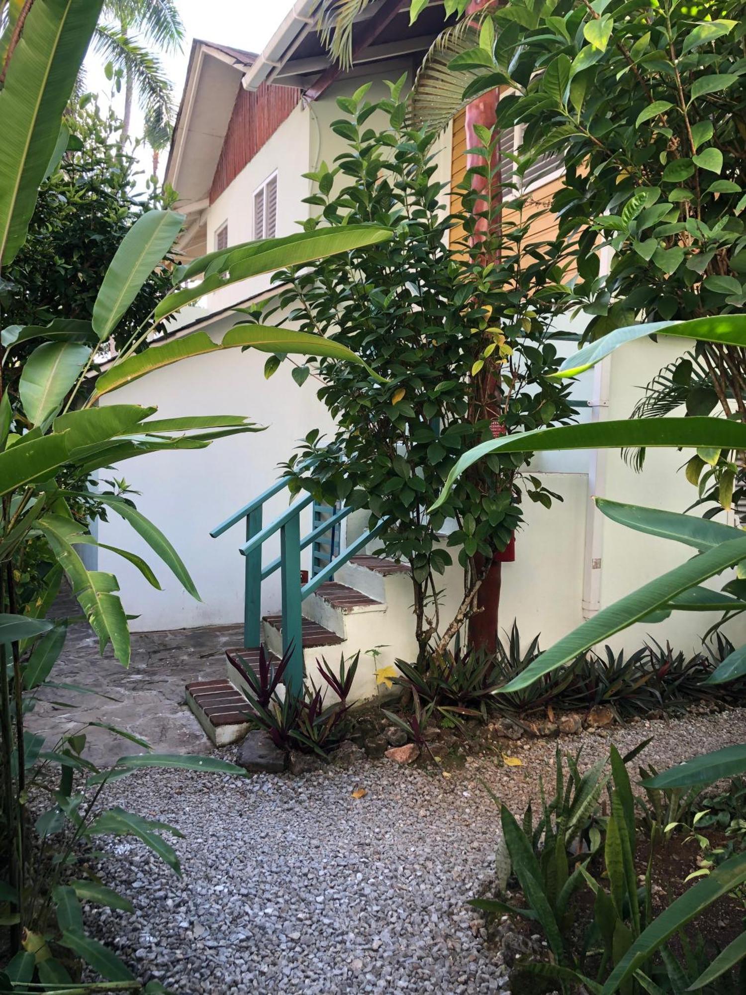 Hotel Casa Robinson Las Terrenas Dış mekan fotoğraf