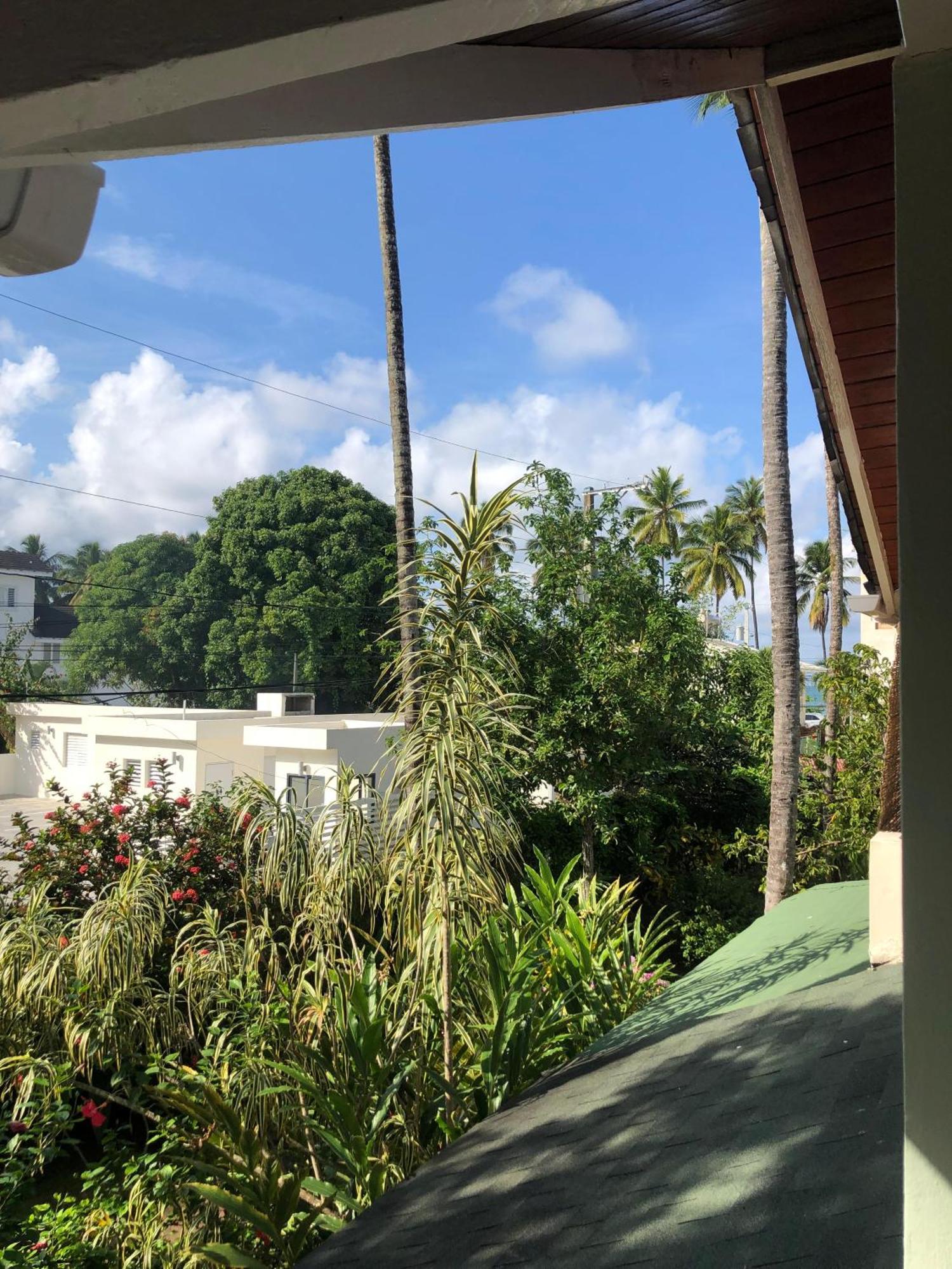 Hotel Casa Robinson Las Terrenas Dış mekan fotoğraf